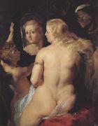 Peter Paul Rubens Venus at the Mirror (MK01) France oil painting reproduction